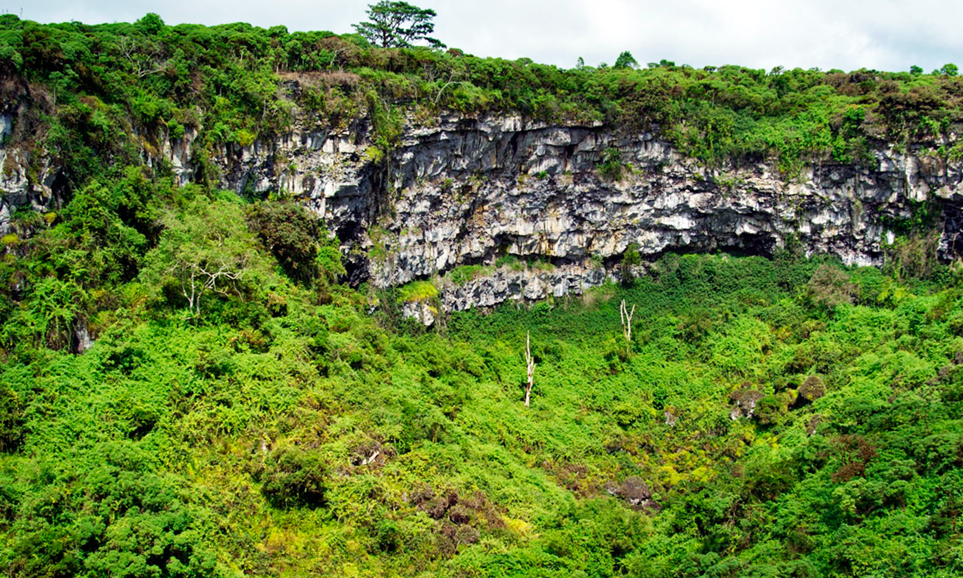 Galapagos Tours and Hotels