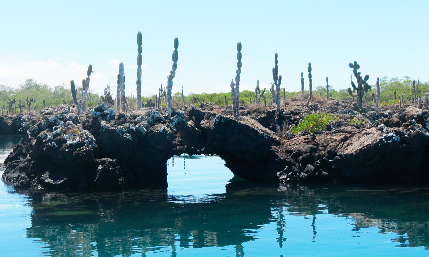 Galapagos Tours and Hotels