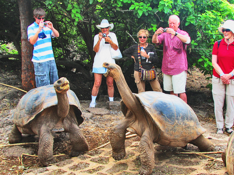 Galapagos Tours and Hotels