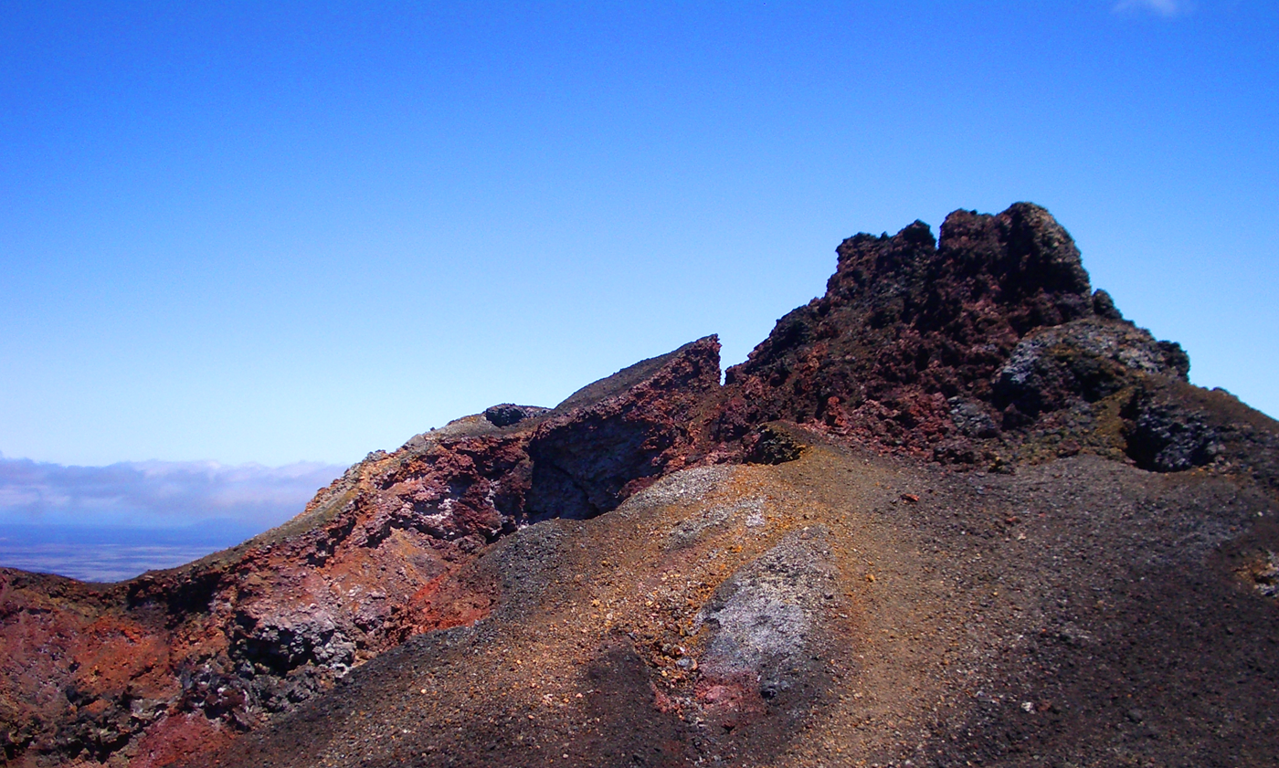 Galapagos Tours and Hotels