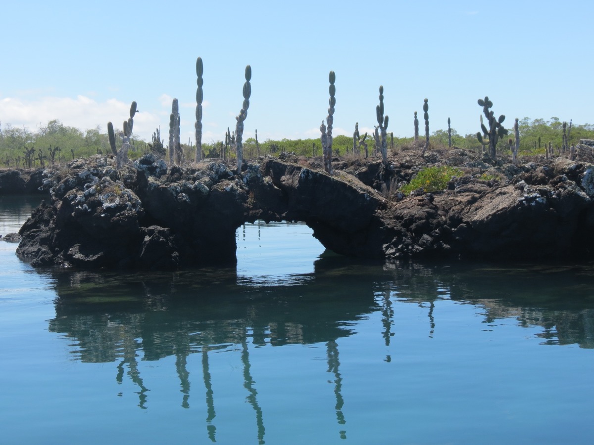 Túneles - GSV Galápagos