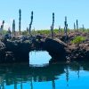 Galapagos Tours and Hotels