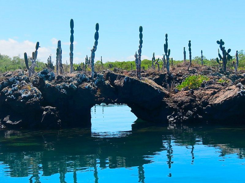 Galapagos Tours and Hotels