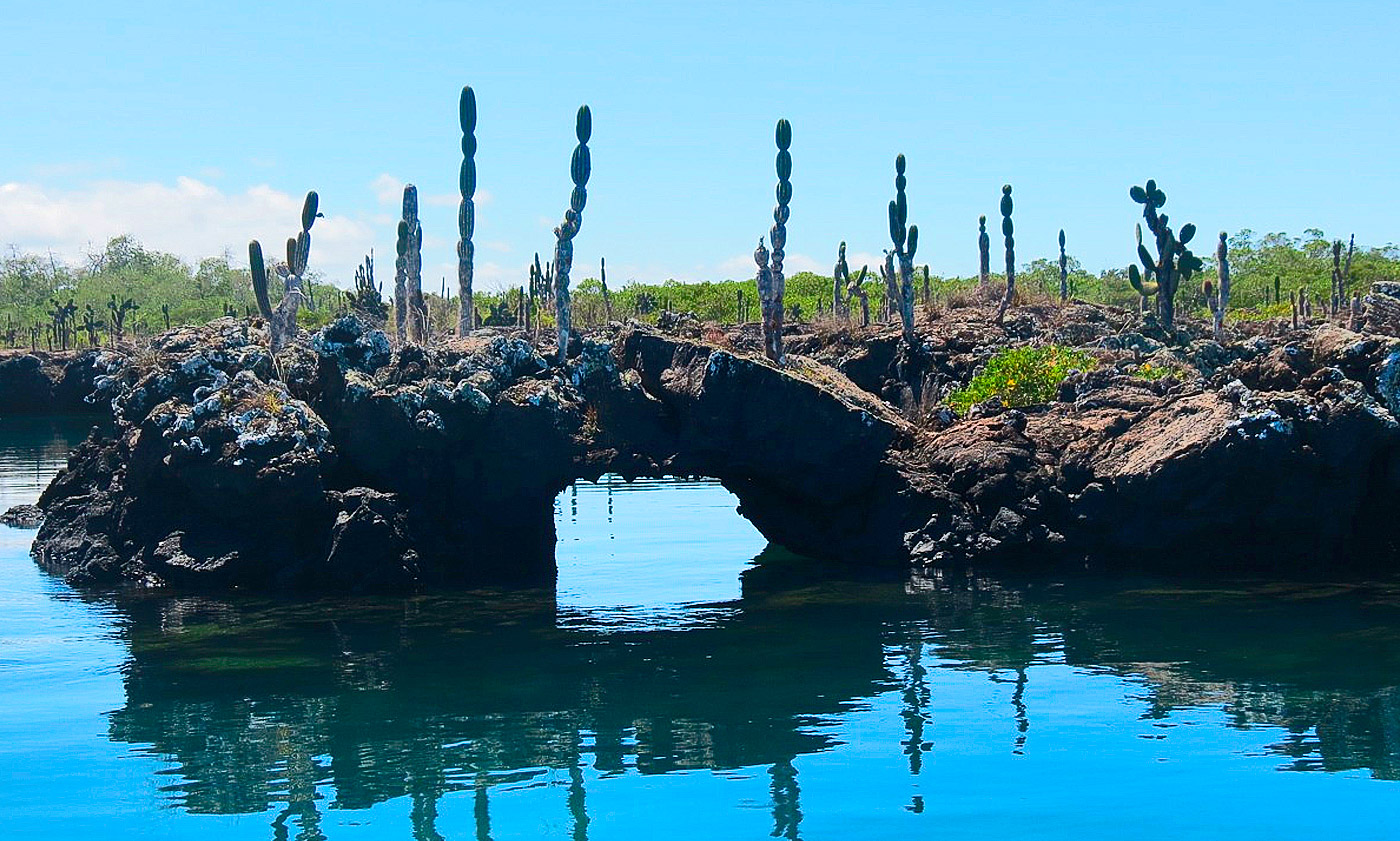 Galapagos Tours and Hotels