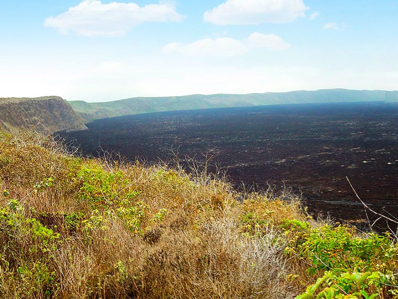 Galapagos Tours and Hotels